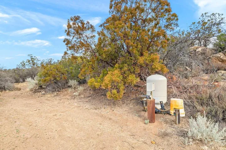 13-web-or-mls-2H8A0060