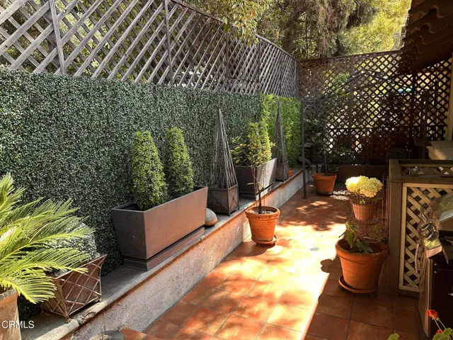 Patio 3