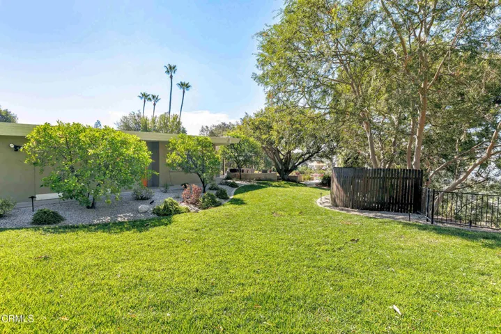 side yard