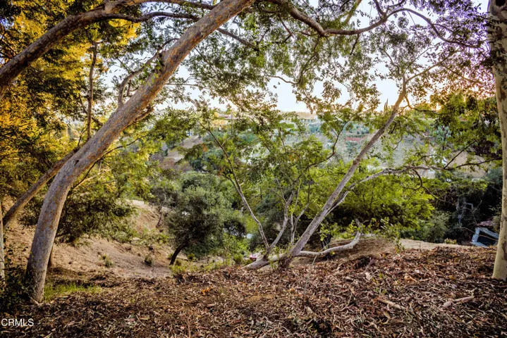 hillside