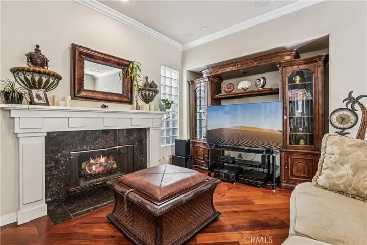 Living Room Fireplace