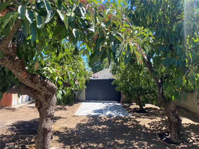 Backyard and gate to alleyway