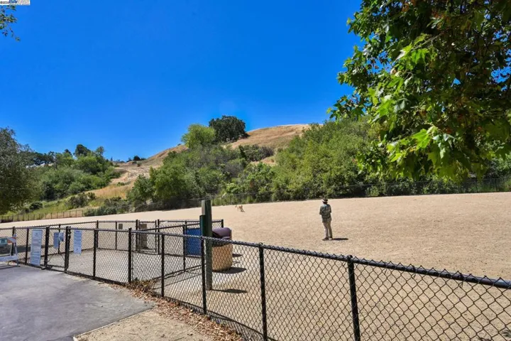Near by Dog Park