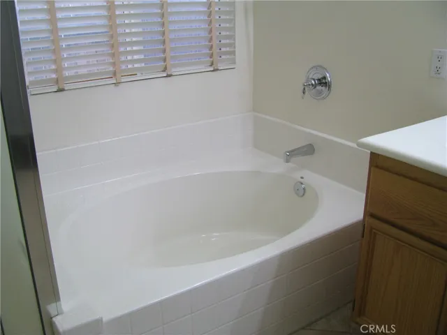 Master Bath Tub