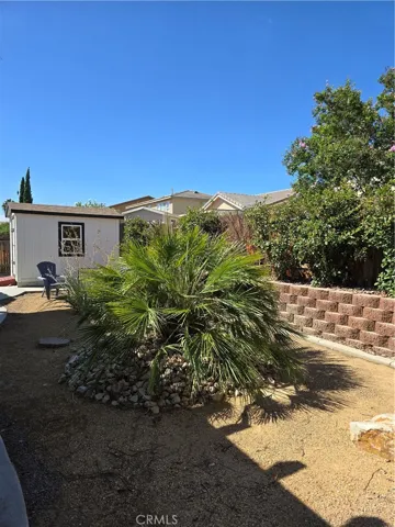 Back Landscaping