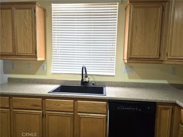Kitchen Sink and Dishwasher