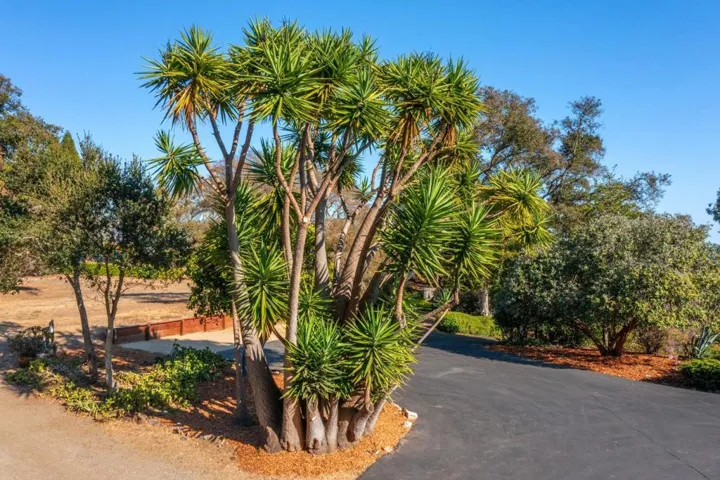 3600 N. Park Avenue, Soquel, California 95073