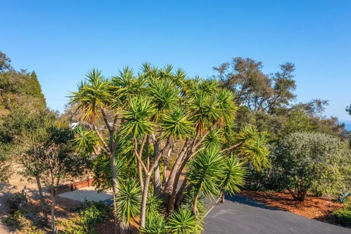 3600 N. Park Avenue, Soquel, California 95073