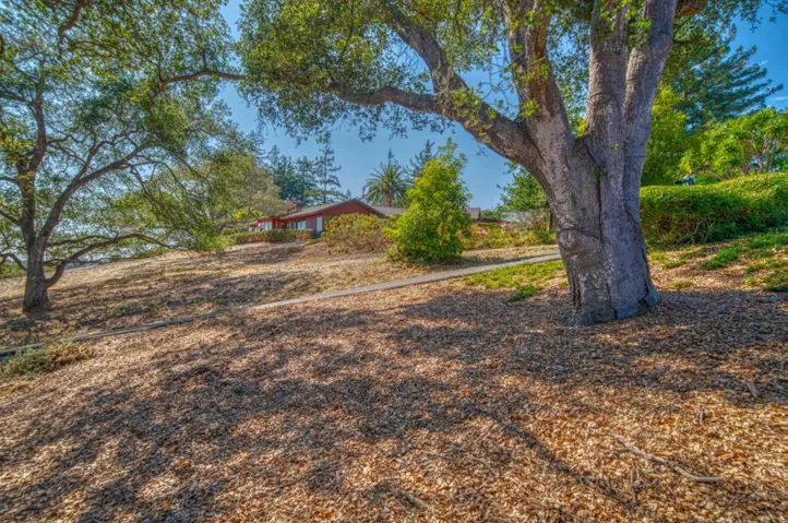 3600 N. Park Avenue, Soquel, California 95073