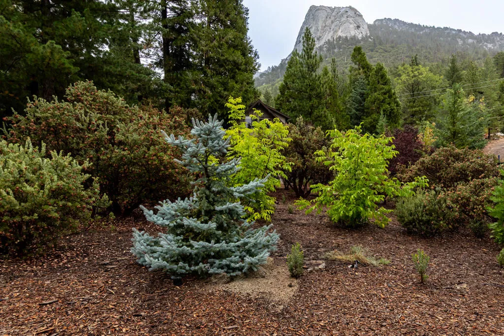 24752 Fern Valley Rd, Idyllwild, California 92549 home-pic-31