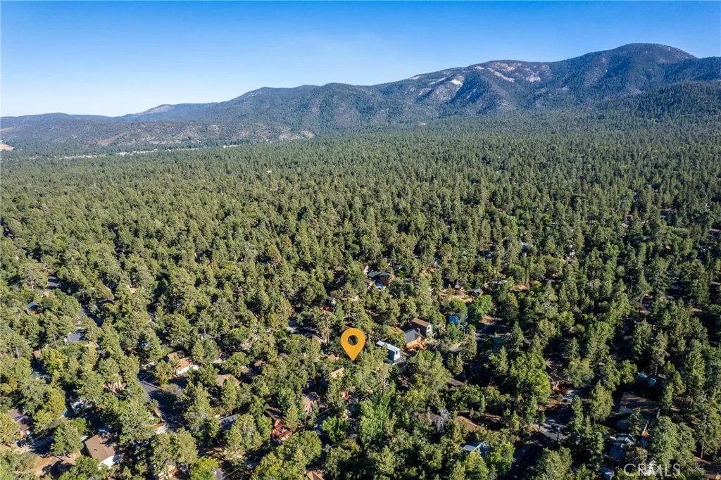 329 Vista Lane, Sugarloaf, California 92386 home-pic-26