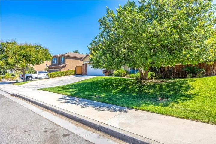 Great shade tree and ample street parking