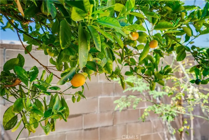 1521 Larchwood Avenue, Hacienda Heights, California 91745