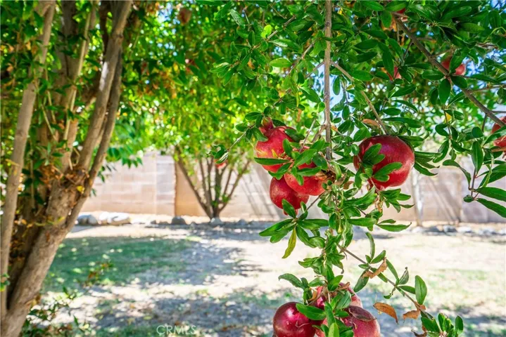 1521 Larchwood Avenue, Hacienda Heights, California 91745