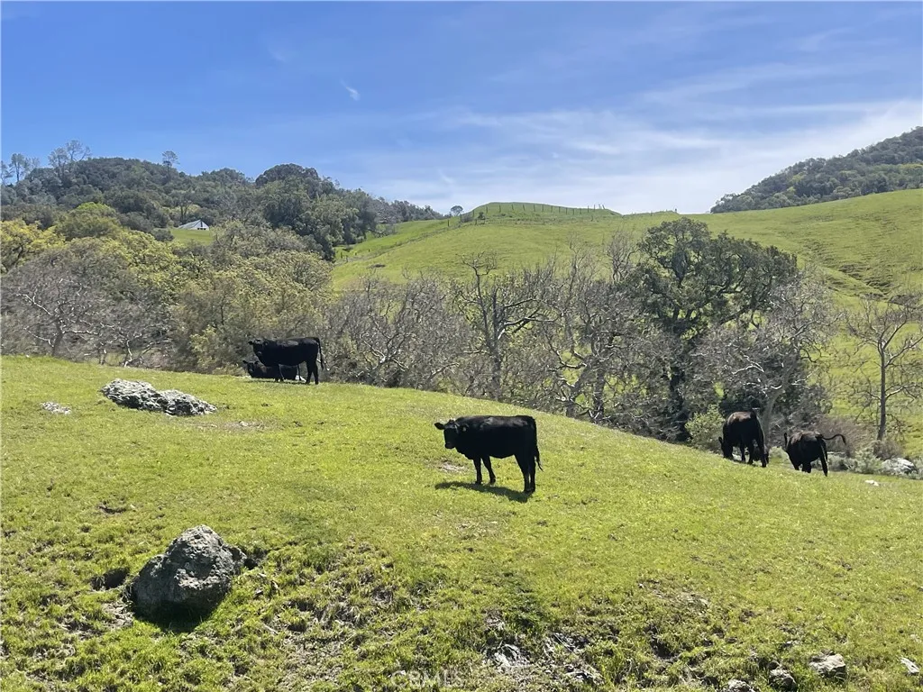 3265 Cypress Mountain Rd, Templeton, California 93465 home-pic-31