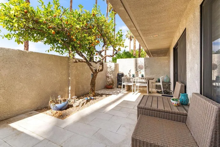 Arenas 26.jpg-2025-6-19 20.46.16