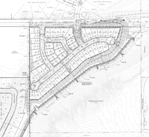 Tentative Map for 50 homes