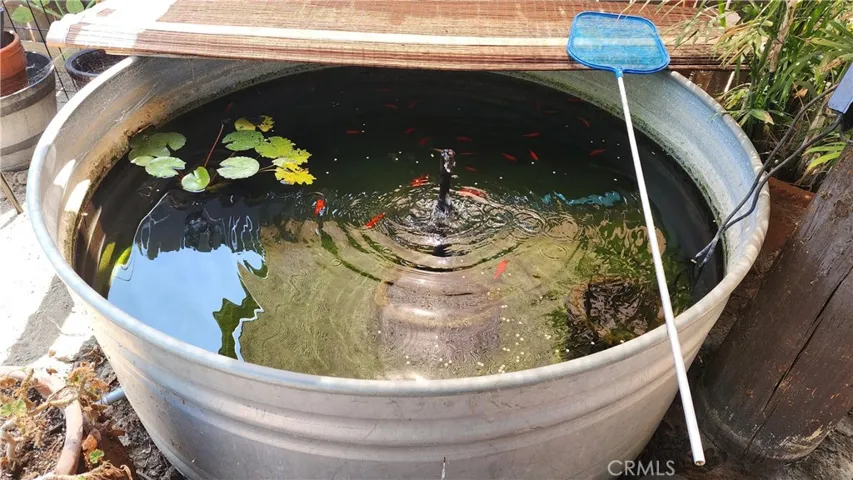 Koi Pond