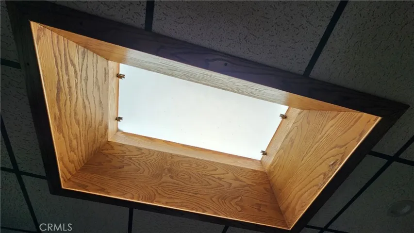Skylight in Bonus Room