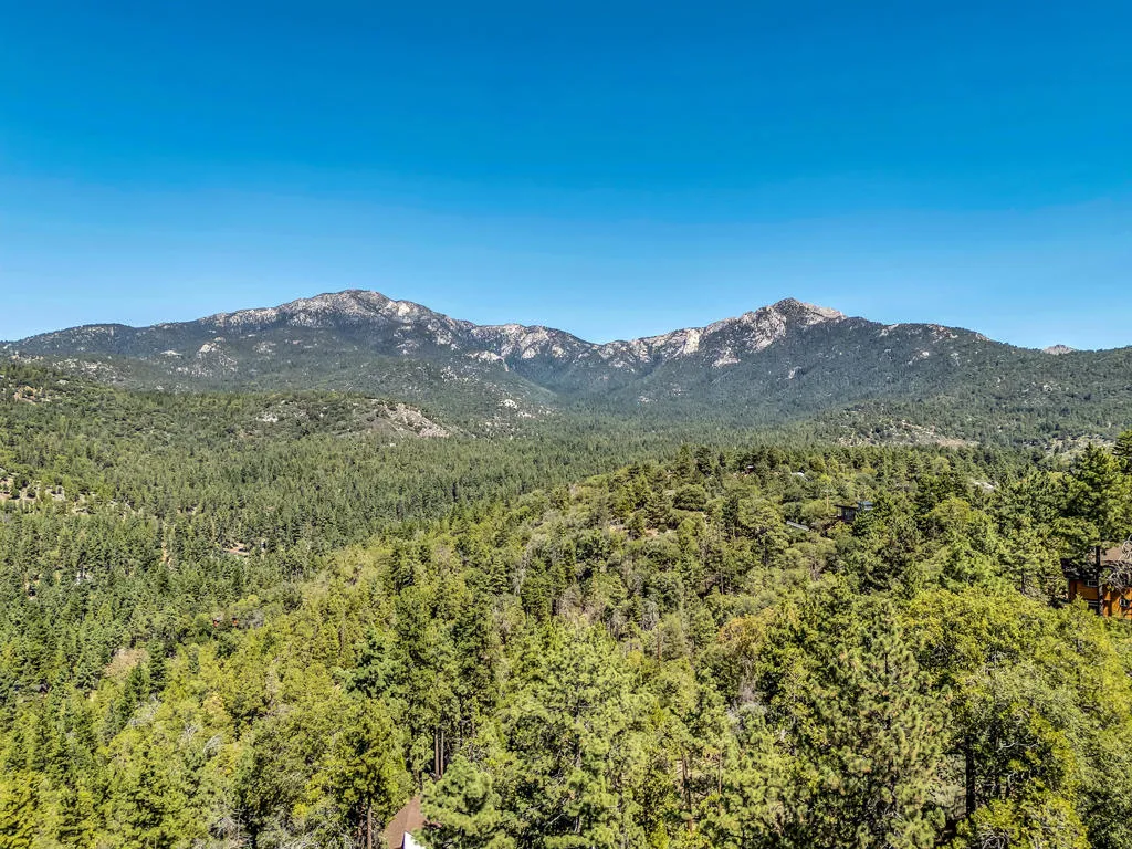 52600 Double View Drive, Idyllwild, California 92549 home-pic-65