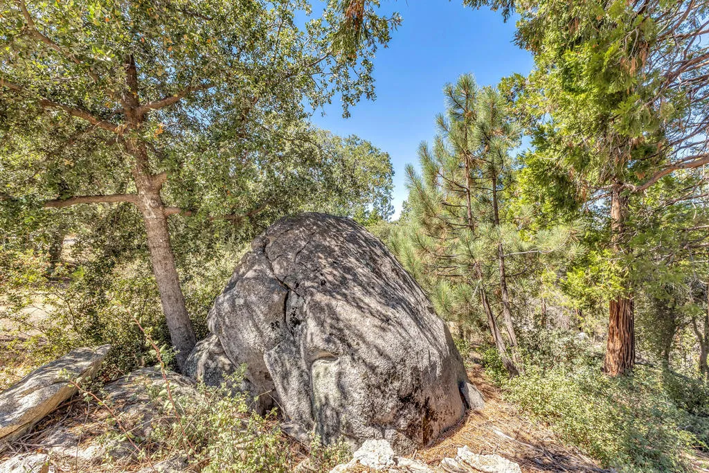 52600 Double View Drive, Idyllwild, California 92549 home-pic-69