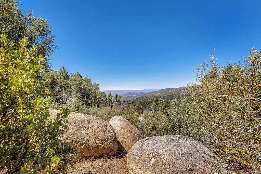 52600 Double View Drive, Idyllwild, California 92549 home-pic-9