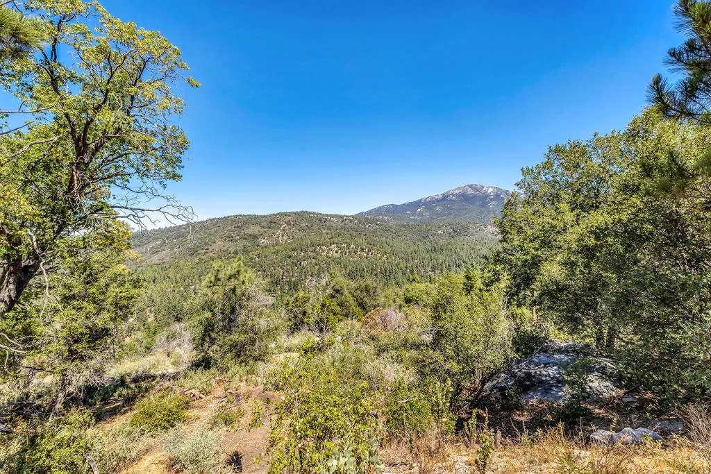 52600 Double View Drive, Idyllwild, California 92549 home-pic-64