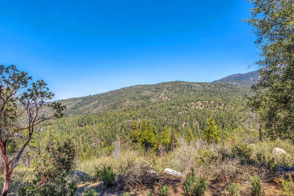 52600 Double View Drive, Idyllwild, California 92549 home-pic-8