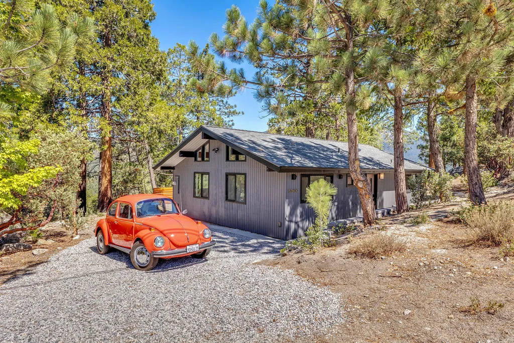 52600 Double View Drive, Idyllwild, California 92549 home-pic-1