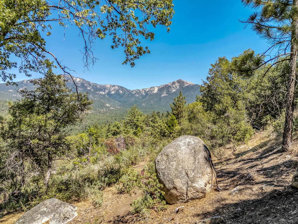 52600 Double View Drive, Idyllwild, California 92549 home-pic-70