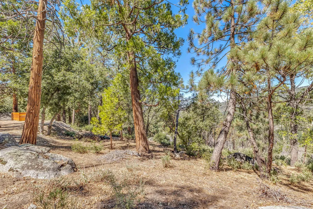 52600 Double View Drive, Idyllwild, California 92549 home-pic-68