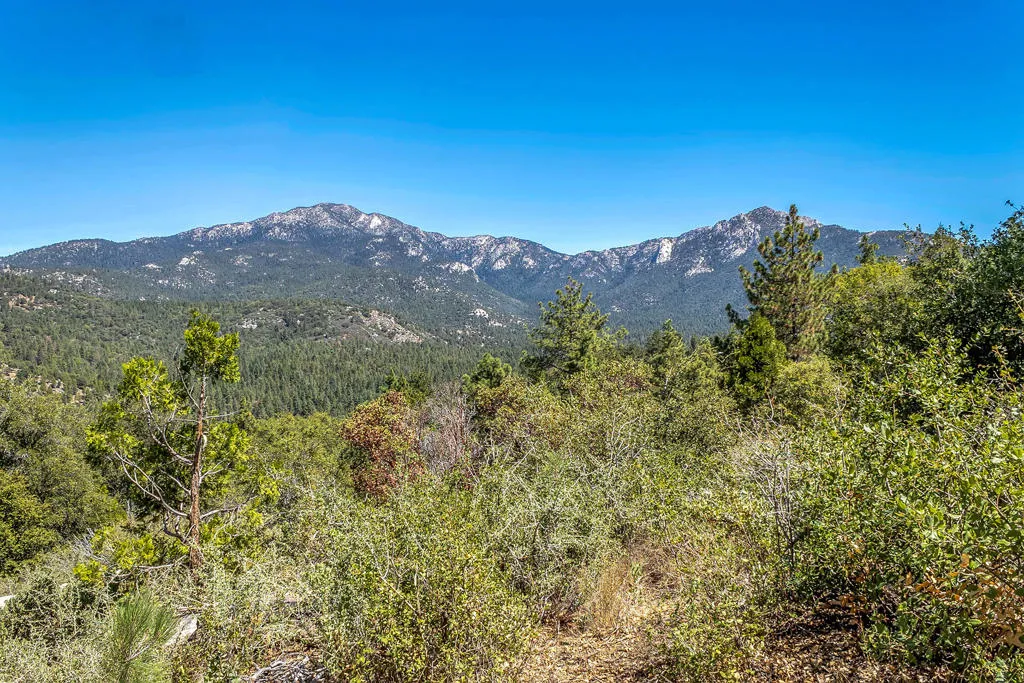 52600 Double View Drive, Idyllwild, California 92549 home-pic-7