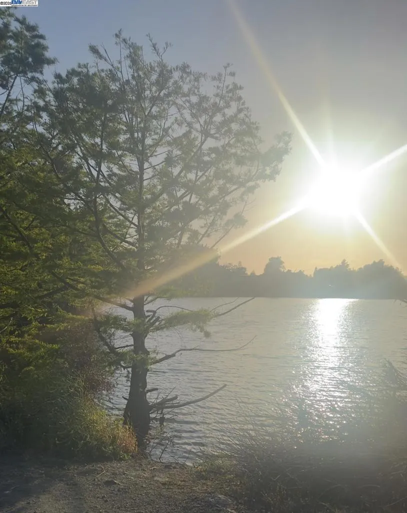 37230 2nd St, Fremont, California 94536 home-pic-48