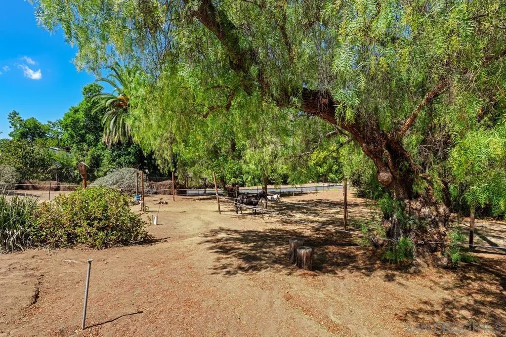4744 Resmar Rd, La Mesa, California 91941 home-pic-35