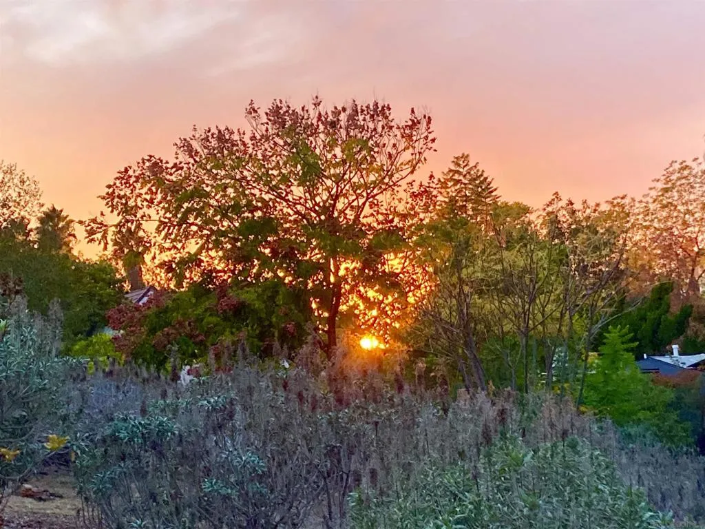 4744 Resmar Rd, La Mesa, California 91941 home-pic-50
