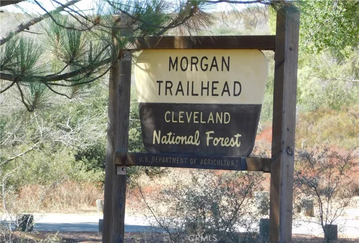 Hiking trails just down the road