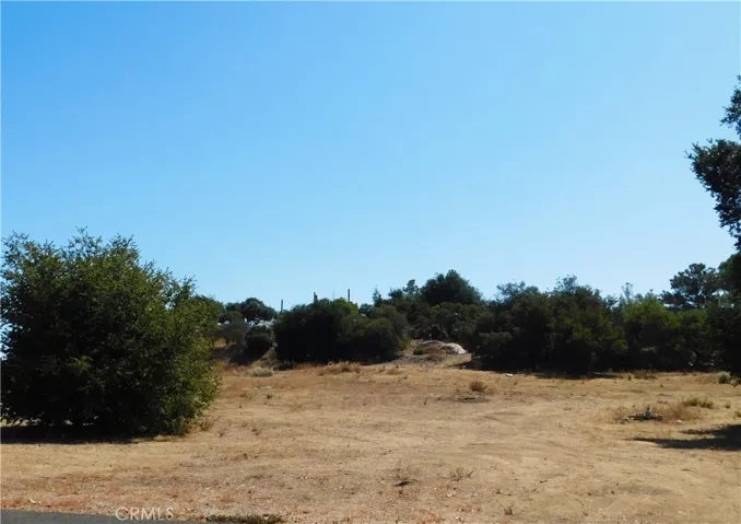 Flat Usable land Plenty of room for Home-ADU- Equine Setup and more!