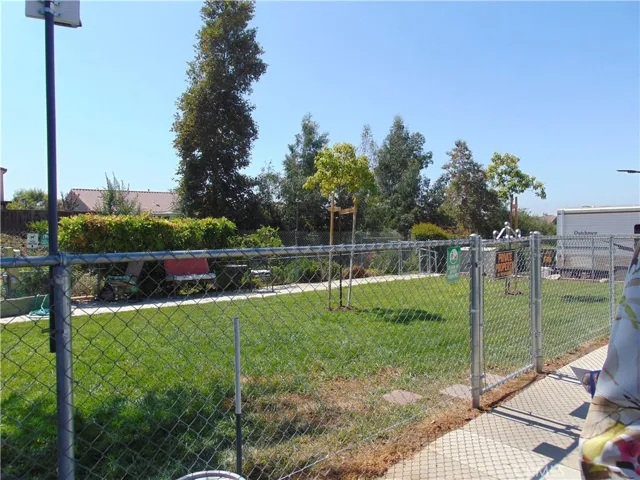 Dog park