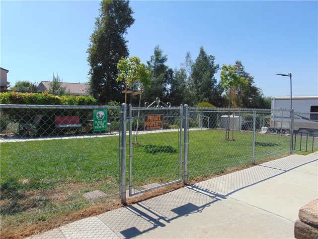 Dog park