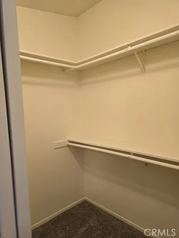walk in closet guest bedroom
