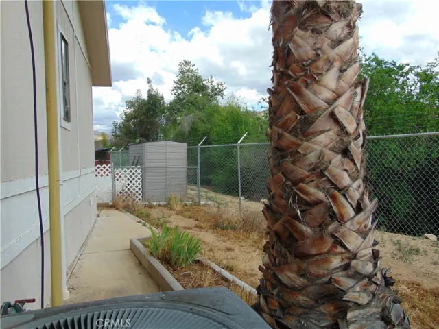 Back yard