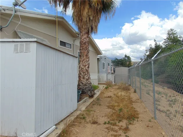behind the sheds back yard.