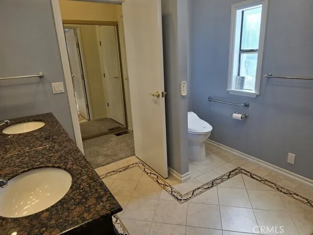 dual sinks