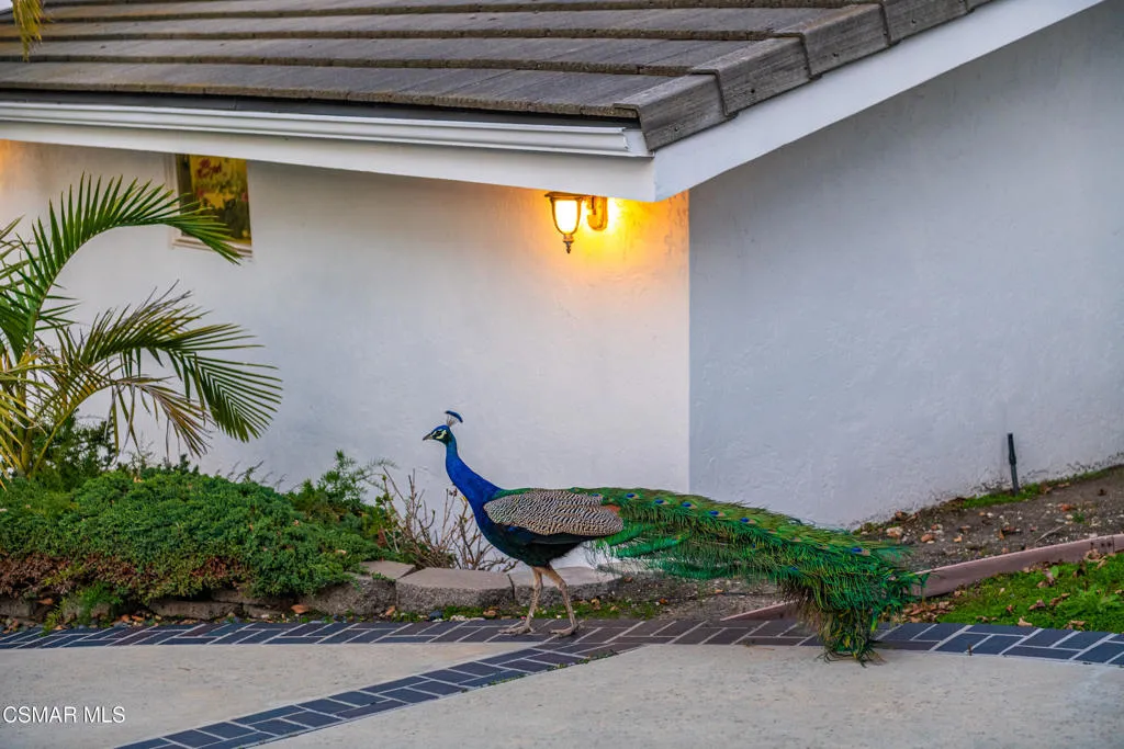 27024 Sunnyridge Road, Palos Verdes Peninsula, California 90274 home-pic-47