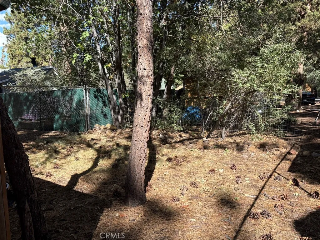 343 Holmes Lane, Sugarloaf, California 92386 home-pic-24