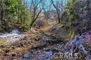 Seasonal stream along Deer Way