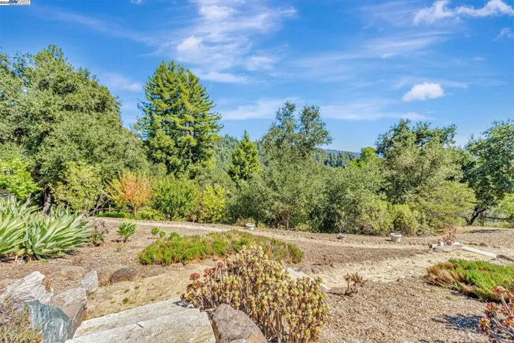 24400 Mountain Charlie Rd, Los Gatos, California 95033
