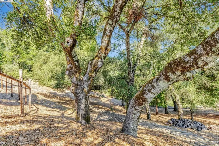 24400 Mountain Charlie Rd, Los Gatos, California 95033