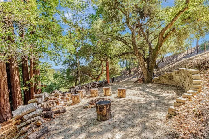 24400 Mountain Charlie Rd, Los Gatos, California 95033