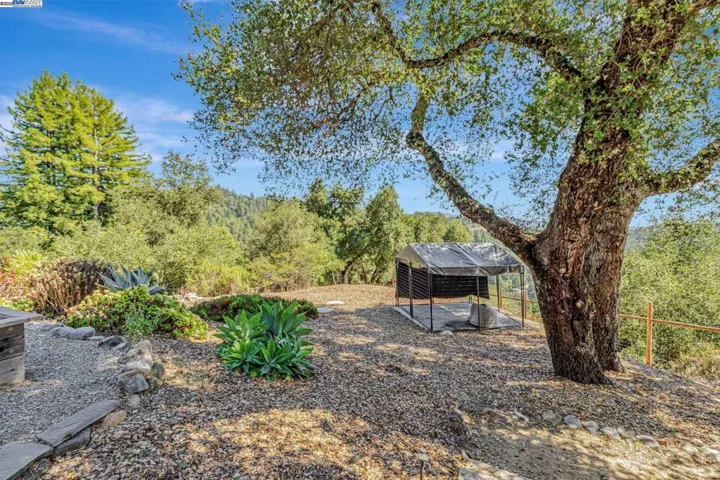 24400 Mountain Charlie Rd, Los Gatos, California 95033